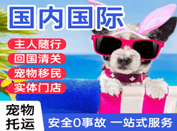 福州机场托运国际宠物托运 【国